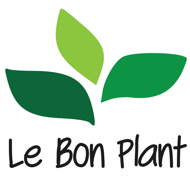 Le Bon Plant